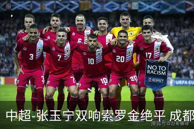 中超-张玉宁双响索罗金绝平 成都连扳两球2-2国安4连平
