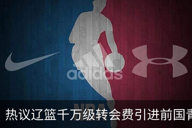 热议辽篮千万级转会费引进前国青队长：双向奔赴有望接班赵继伟