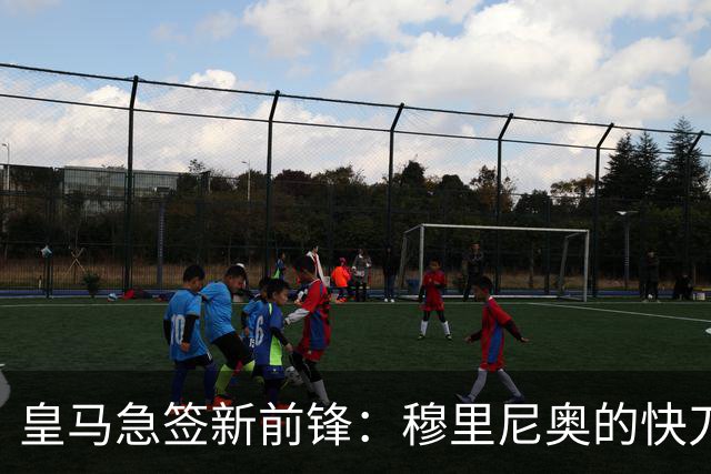 皇马急签新前锋：穆里尼奥的快刀斩乱麻？你看过足球场上那种“手起刀落”式的操作吗？就像武侠小说里的高人，一眨眼就解决了问题